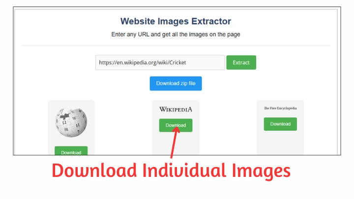 Download Individual Website Images