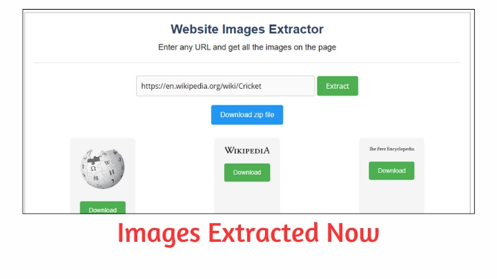 View Extracted Website Images 